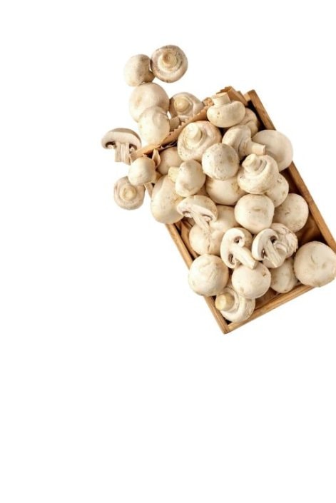 Domaći šampinjoni 500 g