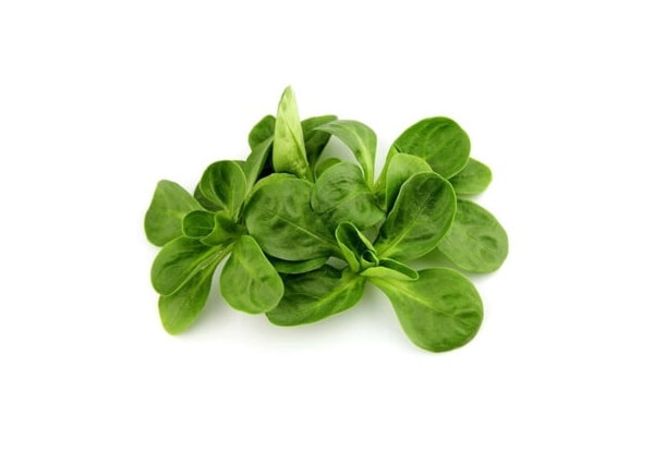 Matovilac 100 g