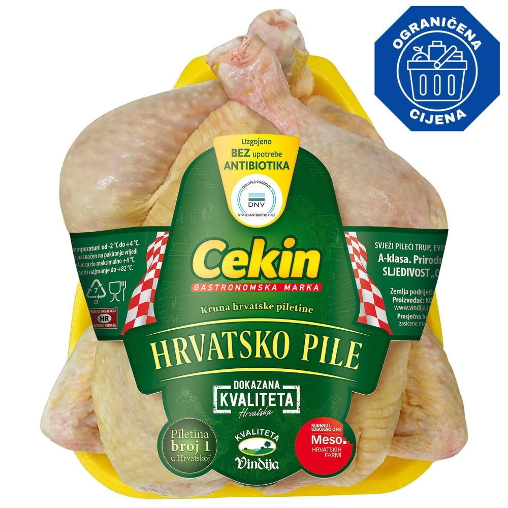 Cekin hrvatsko pile
