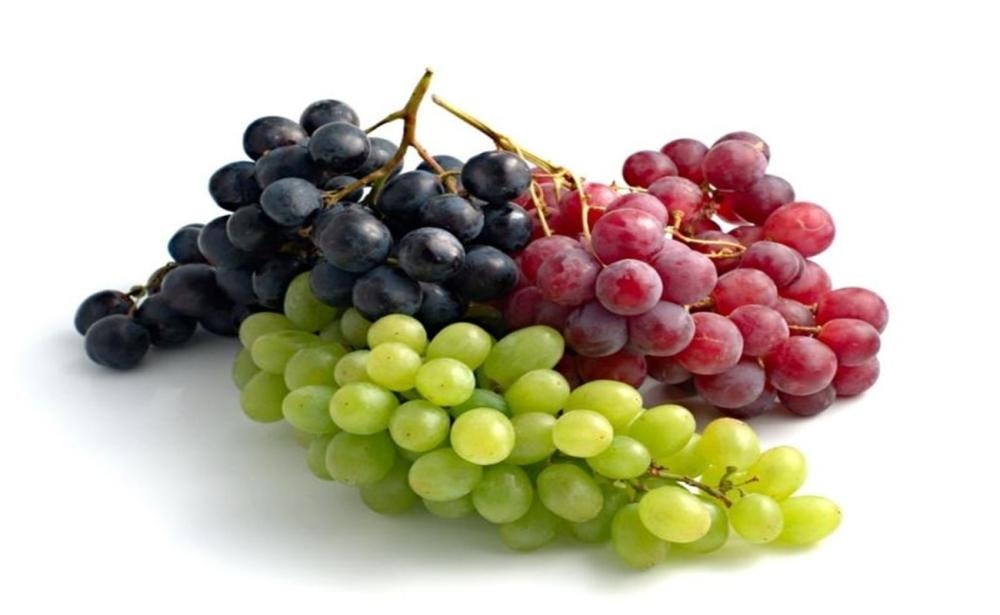 Grožđe
