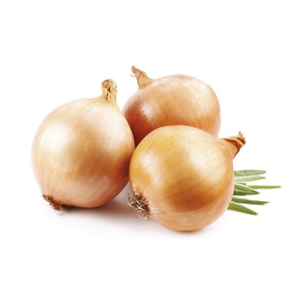 Luk crveni 1 kg