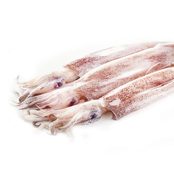 Indijska lignja 1 kg