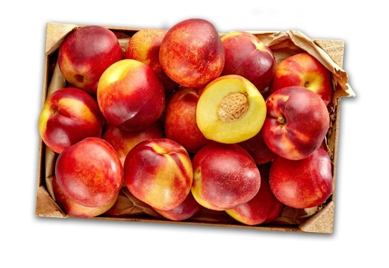 Nektarina 1 kg