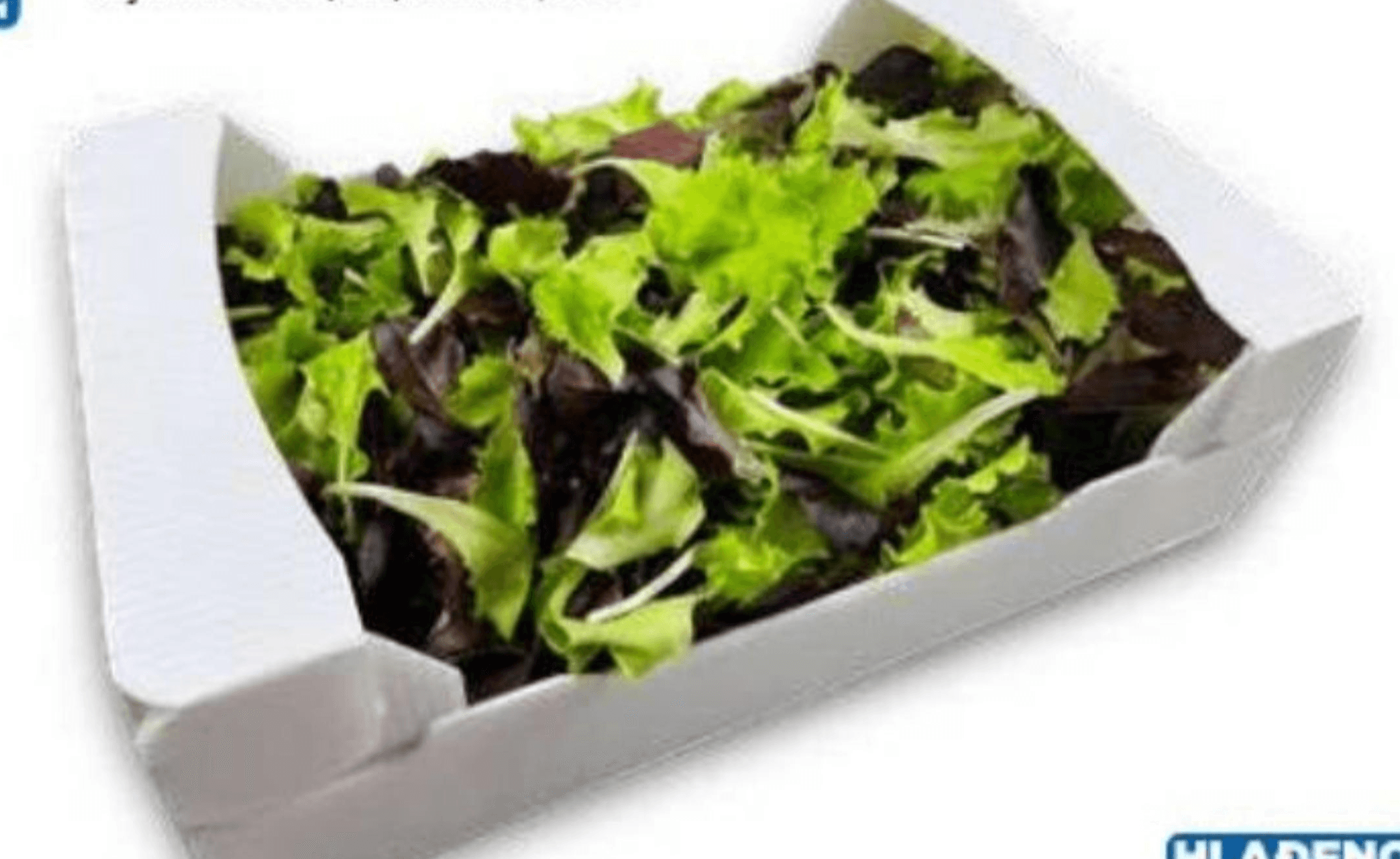 Zelena i crvena salata 250 g