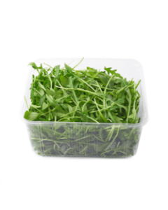Rucola 100 g