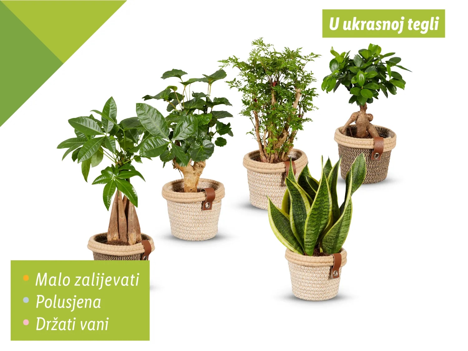 Zeleni mix
