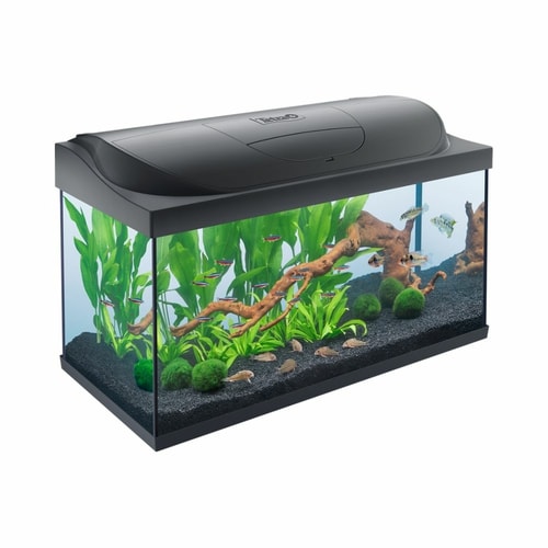 Tetra starter line led akvarij 100 l