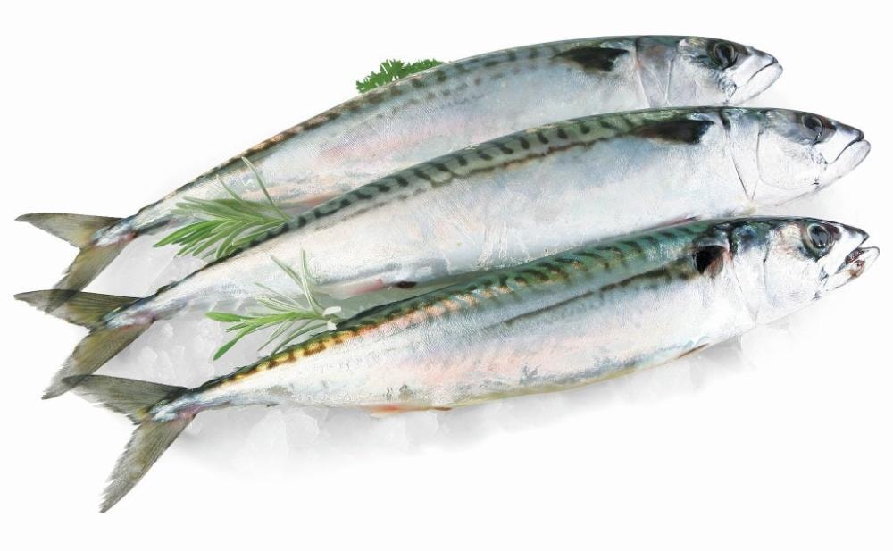 Skuša 1 kg