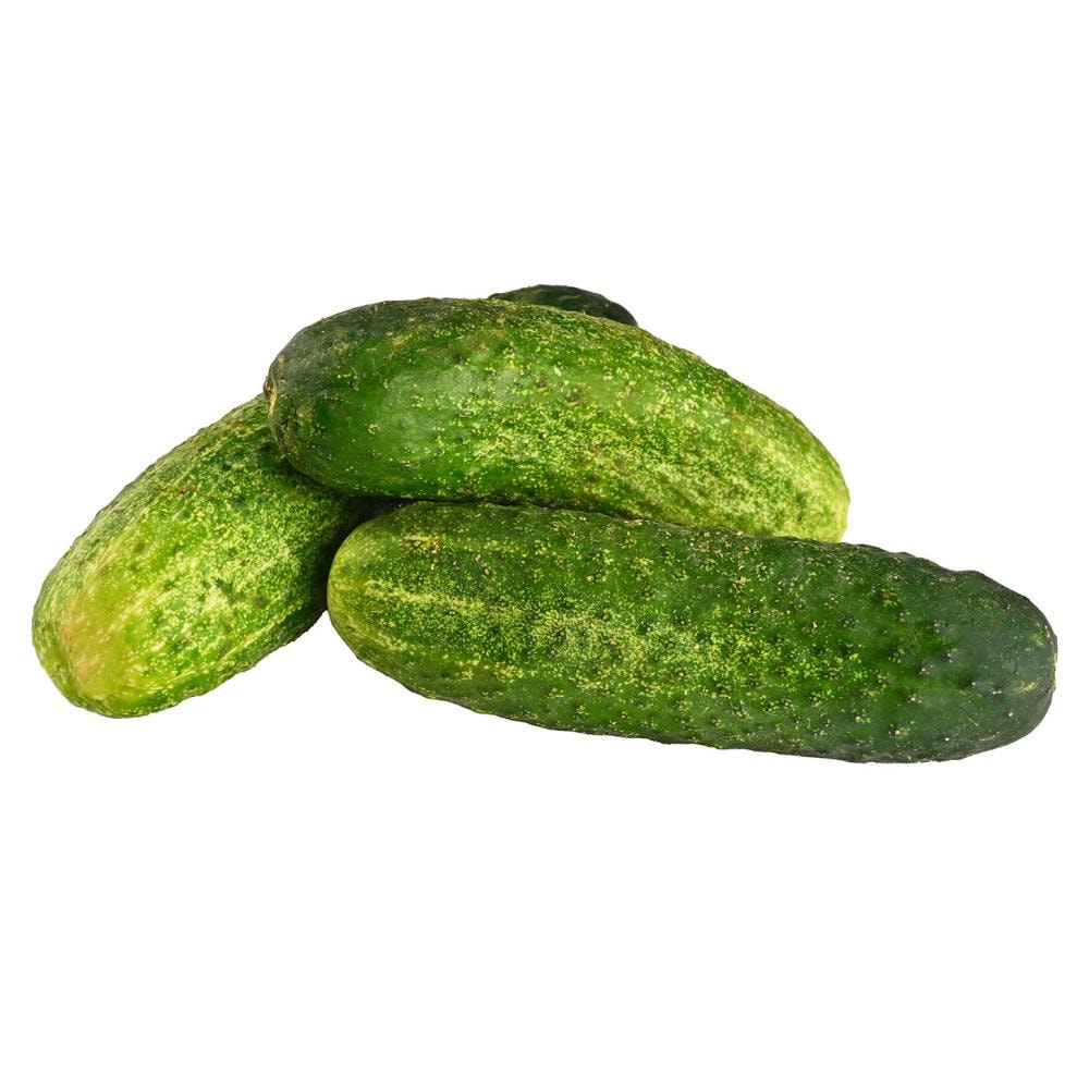 Krastavac kornišon 1 kg