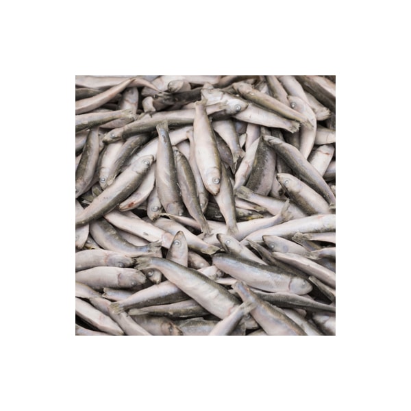 Papalina 1 kg
