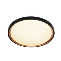 Stropna led svjetiljka rina