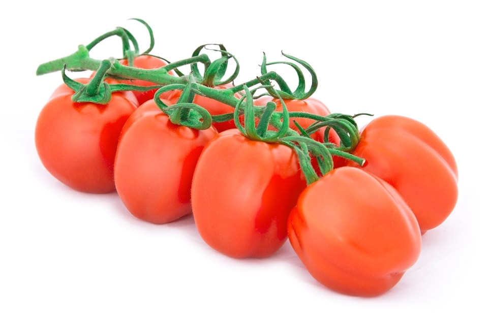 Rajčica papaletto 400 g