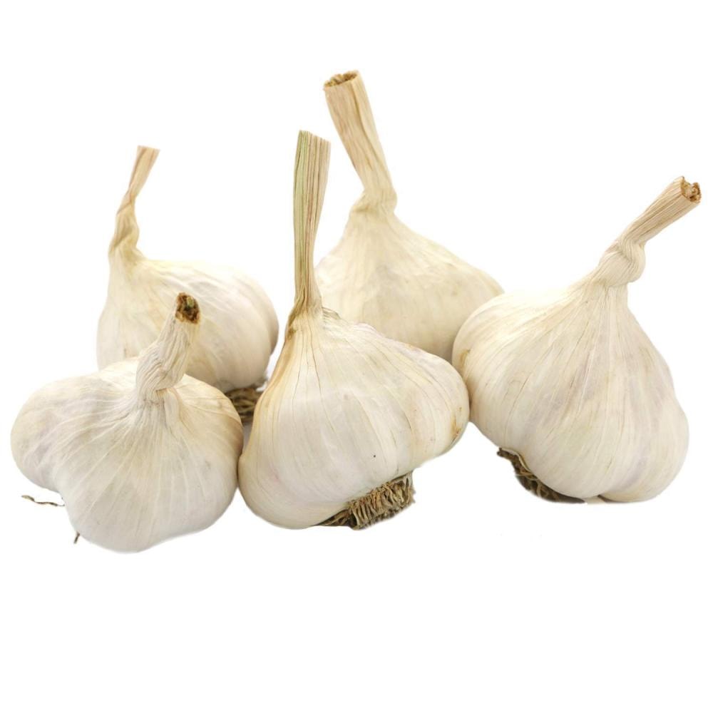 Češnjak domaći 150g