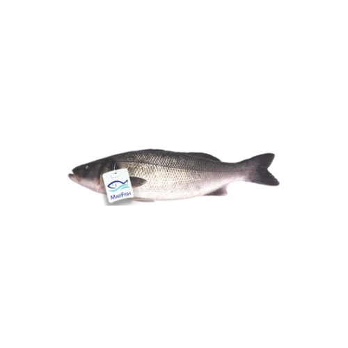 Brancin 300/400 g