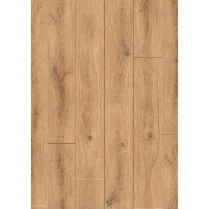Laminat 'fan oak' d 1.288 x š 245 x deb. 8 mm, u paketu = 2,52 m²