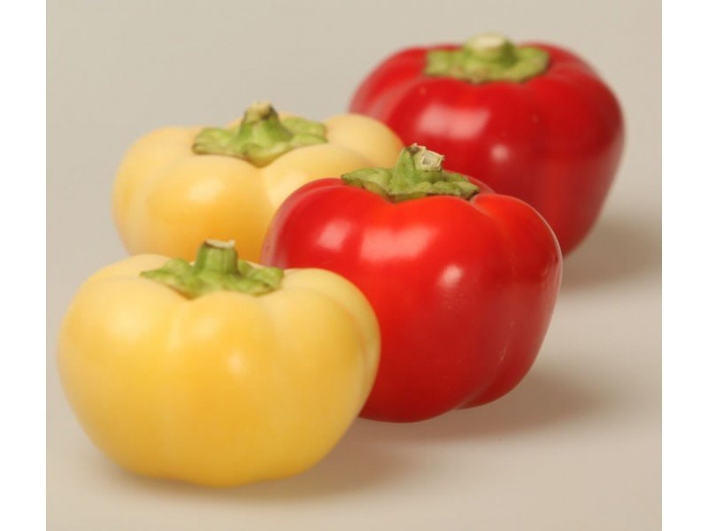 Paprika paradajzerica