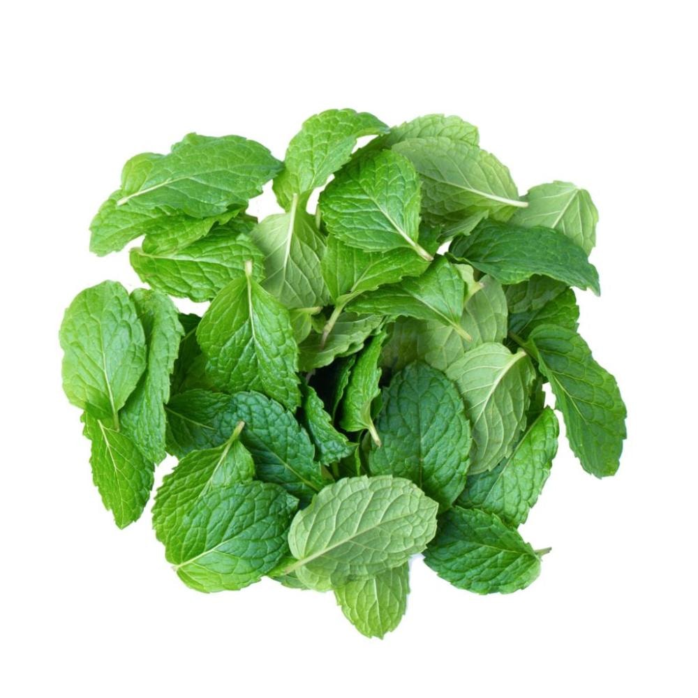 Menta komad