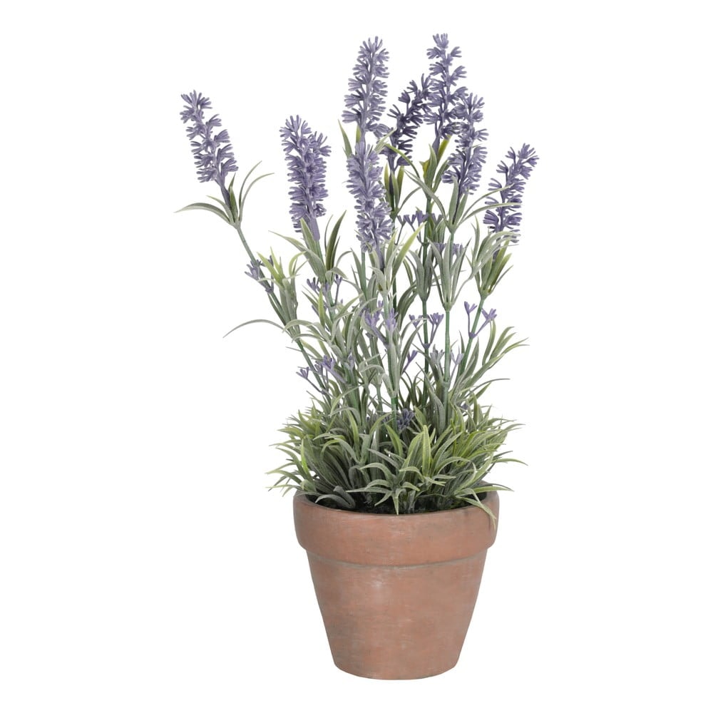 Lavanda u keramičkoj posudi 1 kom