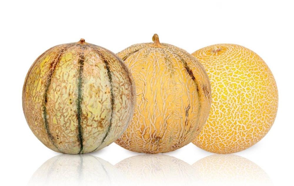 Dinja (cata) 1 kg