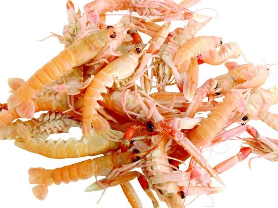 Škampi 1 kg