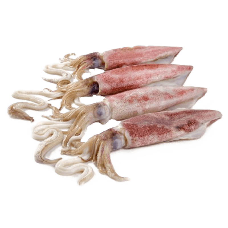 Lignja patagonika 500 g