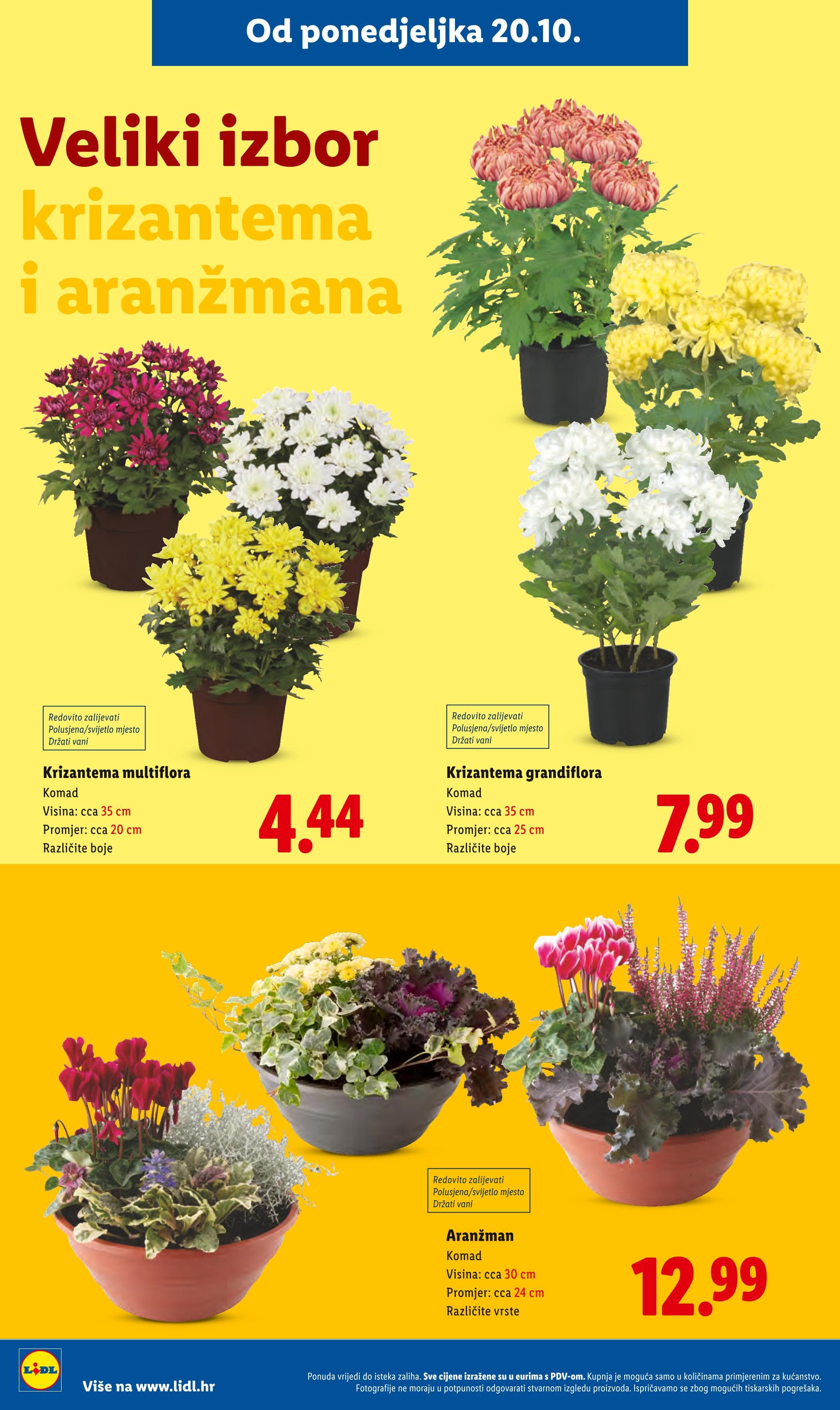 Stranica 19. Lidl kataloga - Akcije od 23.10. do 26.10.2025.