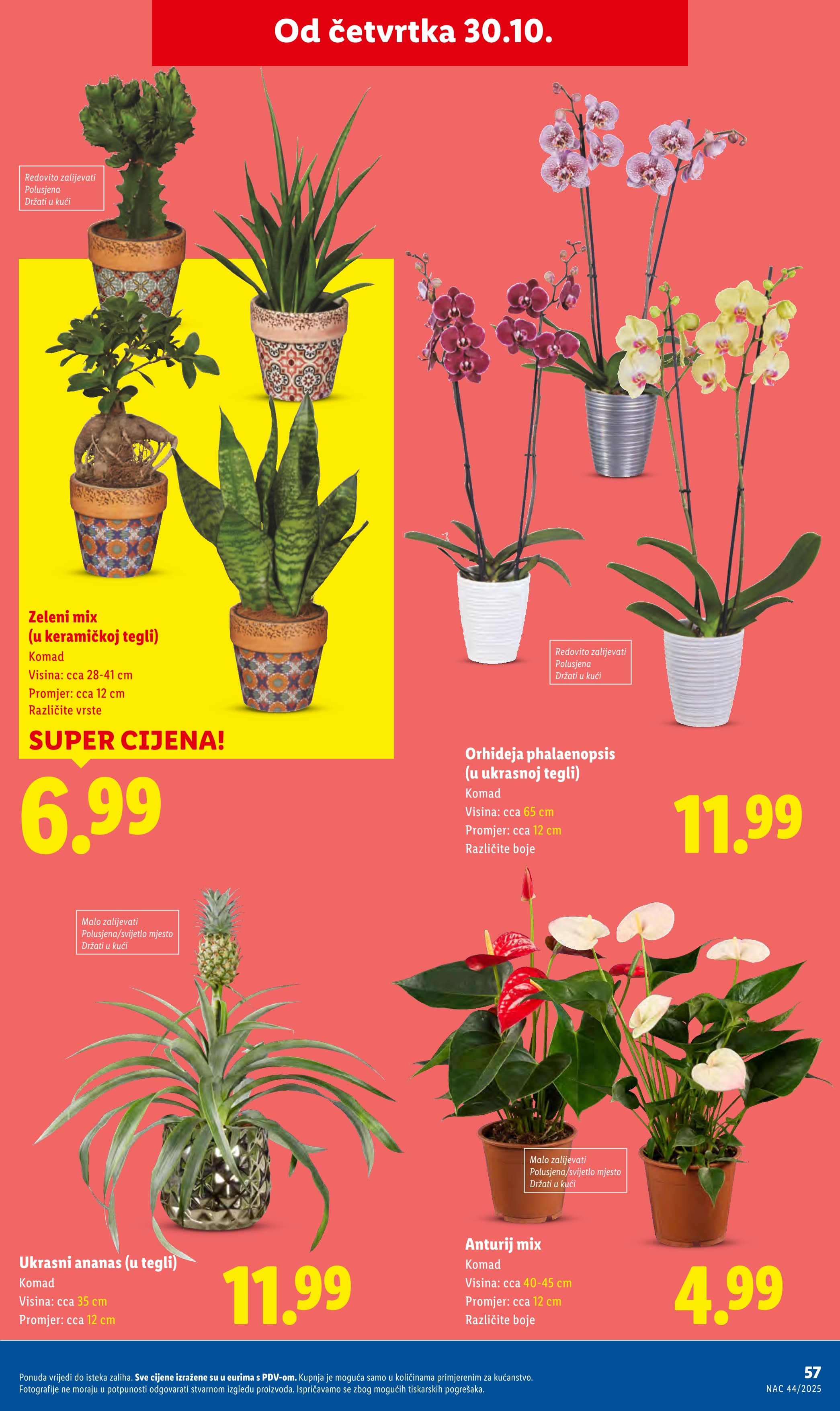 Stranica 22. Lidl kataloga - Akcije od 30.10. do 02.11.2025.