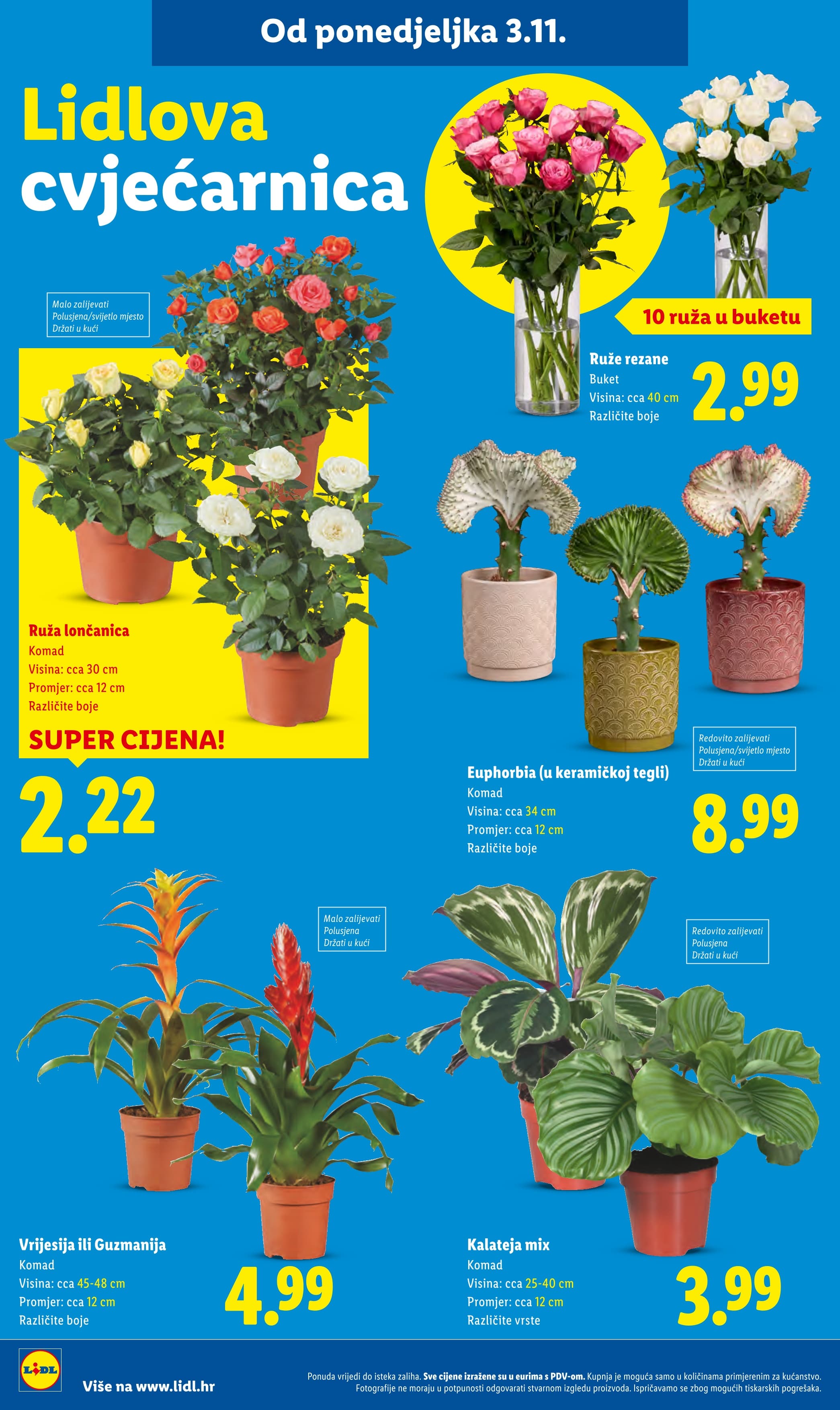 Stranica 31. Lidl kataloga - Akcije od 06.11. do 09.11.2025.