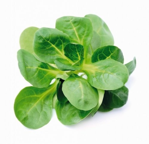 Matovilac S-BUDGET 100 g
