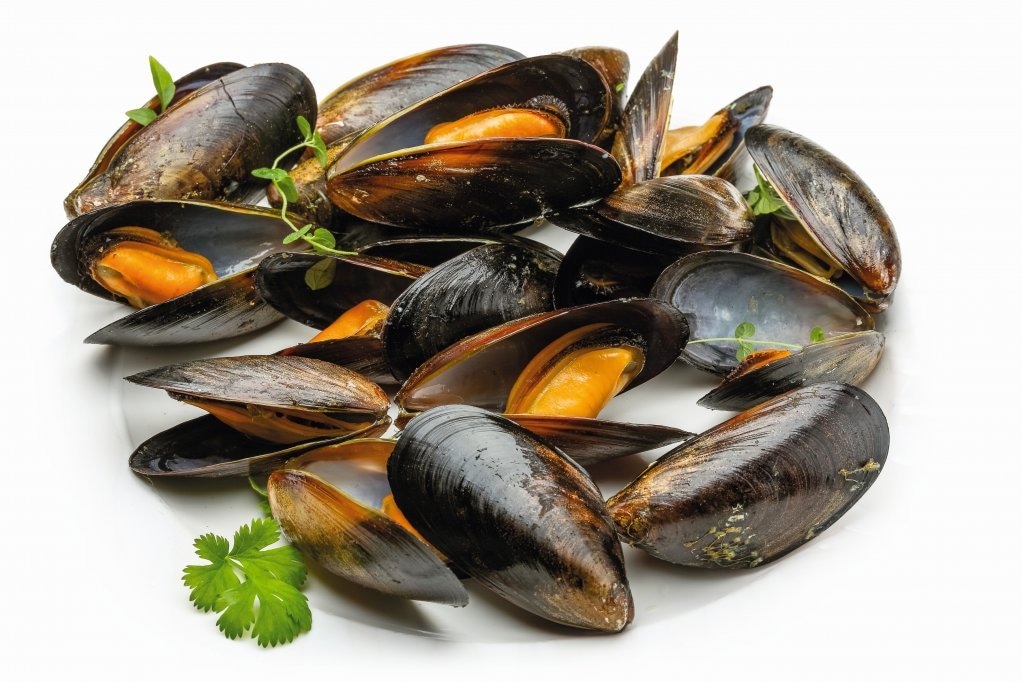 Svježe dagnje 1kg