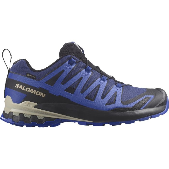 Salomon XA PRO GORE-TEX