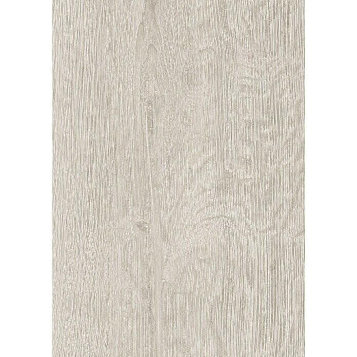 'Atlas Oak'