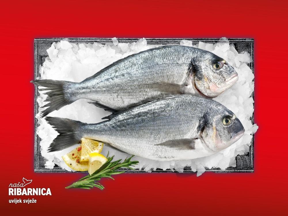 Svježa očišćena jadranska orada 720 g