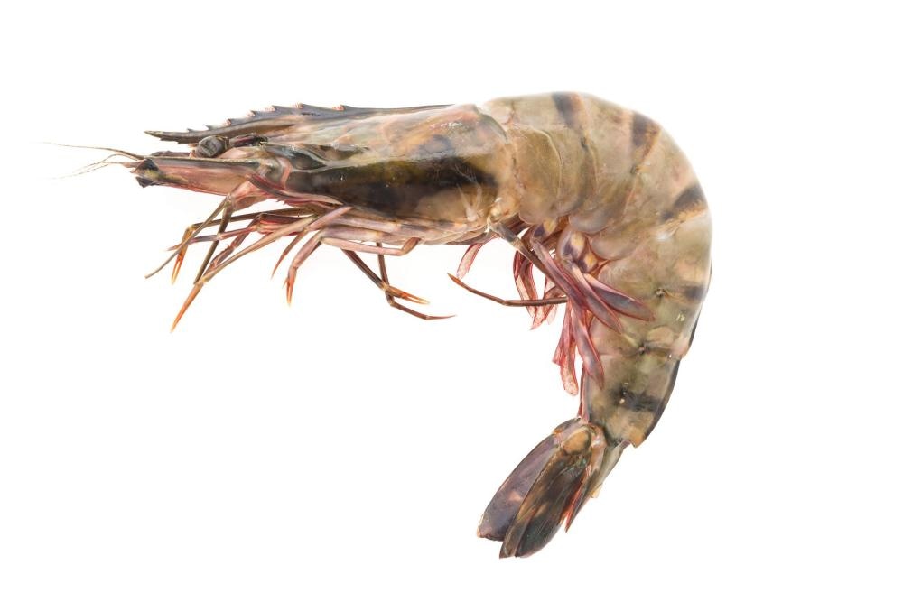 Black Tiger kozice 180 g