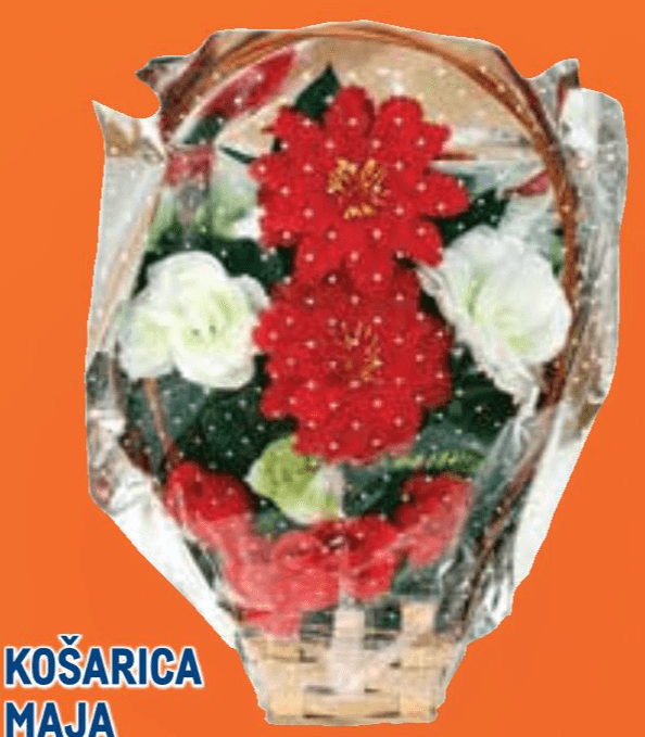 Košarica Maja