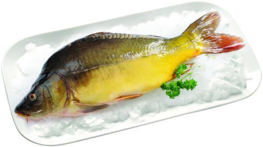 Svježi šaran 1kg
