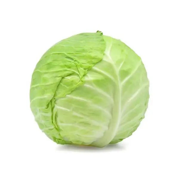 Kupus bijeli