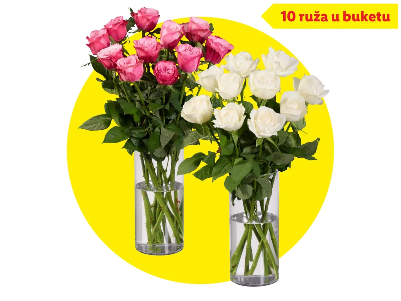 Ruže rezane 10 ruža u buketu
