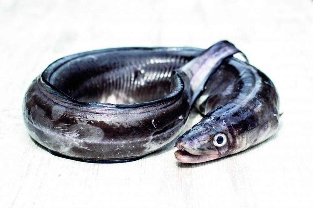 Cijeli ugor ili odrezak ugora 1 kg