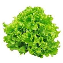 Salata kristal
