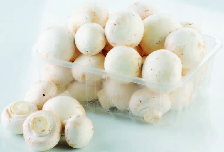 Šampinjoni pakirani, 500g