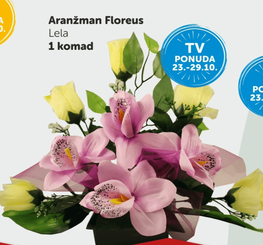 Aranžman Floreus Lela 1 komad Floreus