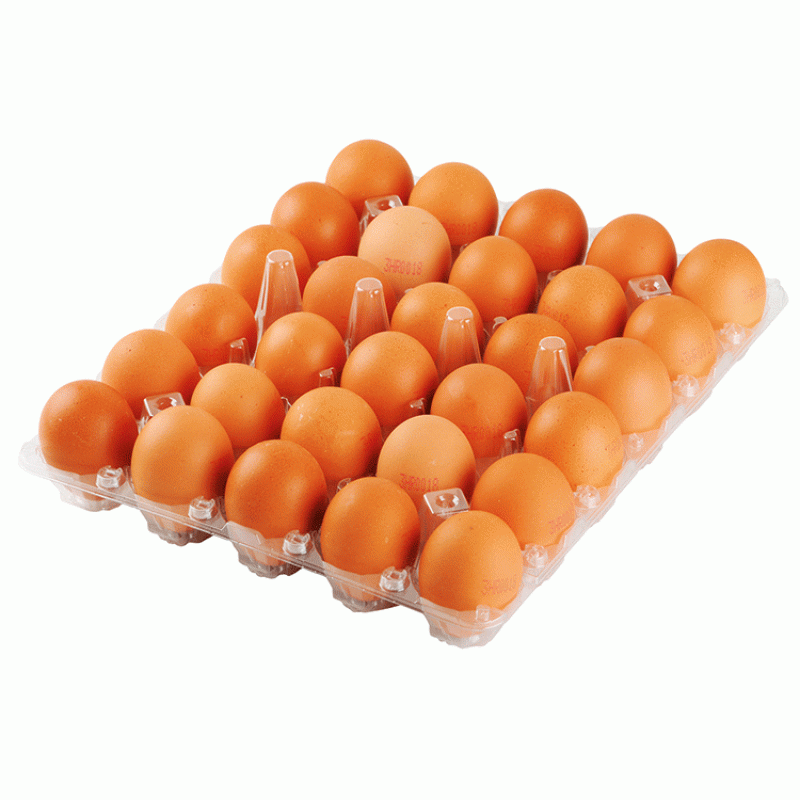 Svježa jaja 30 komada