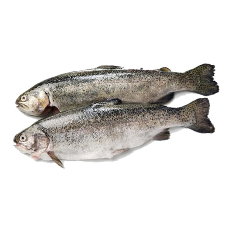 Svježa očišćena domaća pastrva 550 g