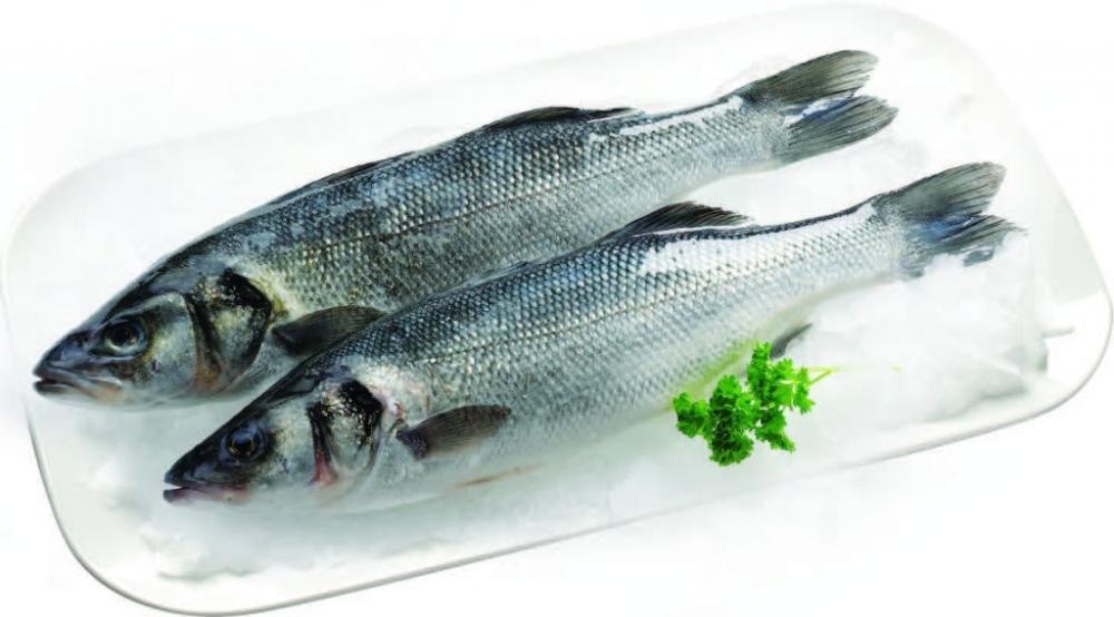 Svježi brancin LLL 1kg