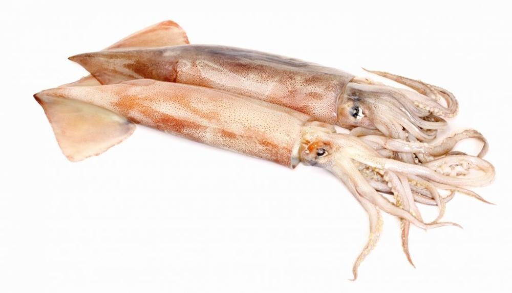 Svježa lignja 400 g