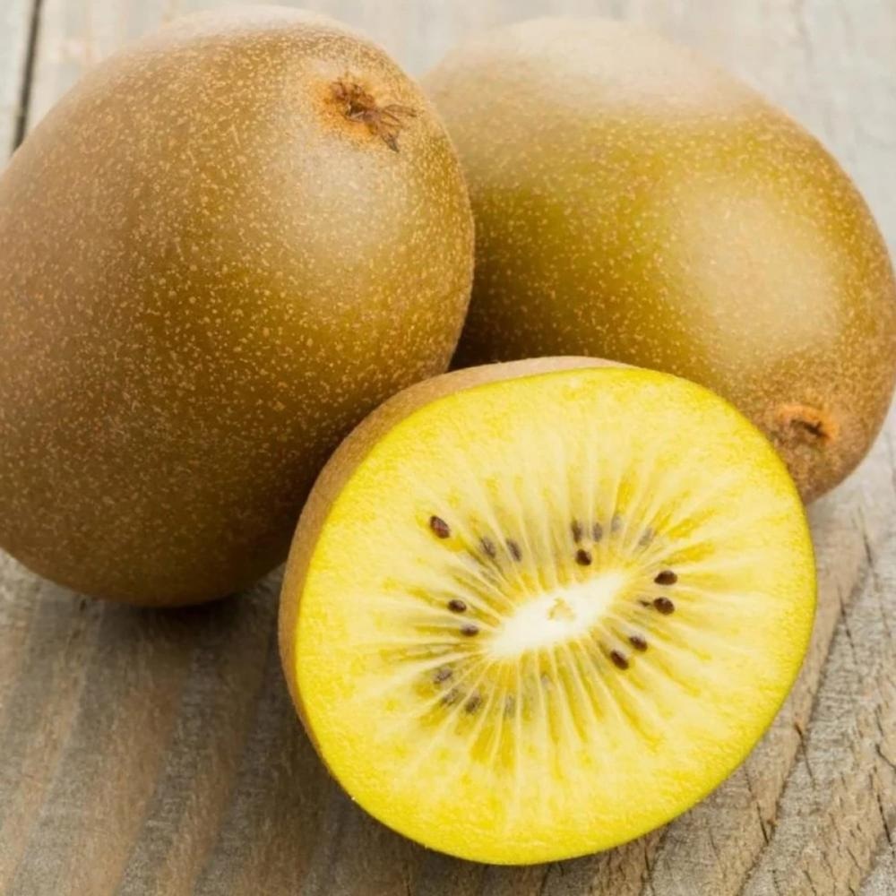 Bio kivi gold 3 komada u pakiranju