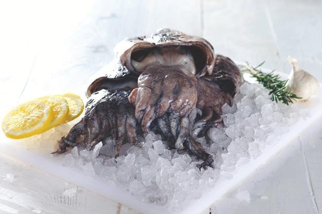 Svježa sipa 1kg