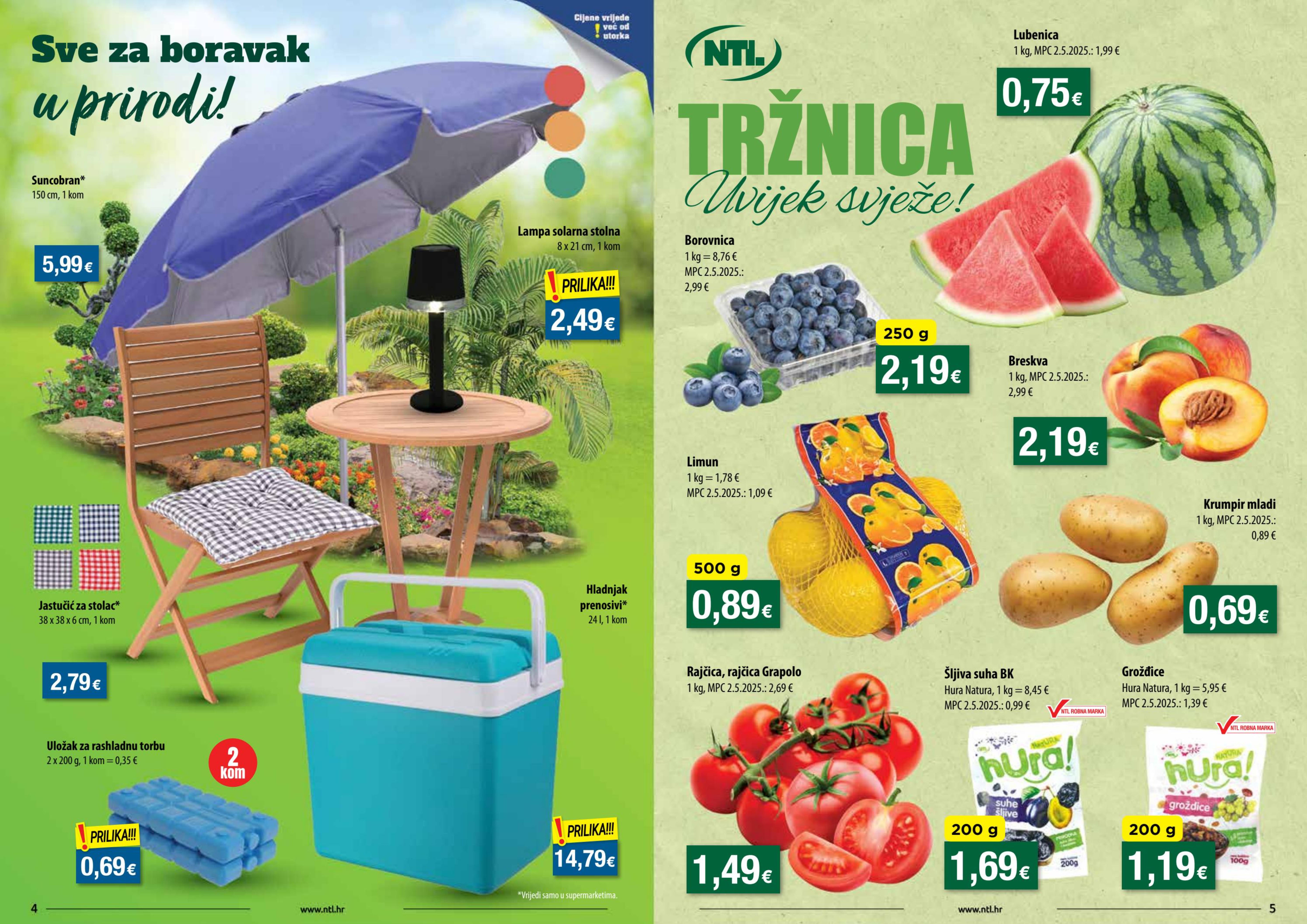 Rajčica