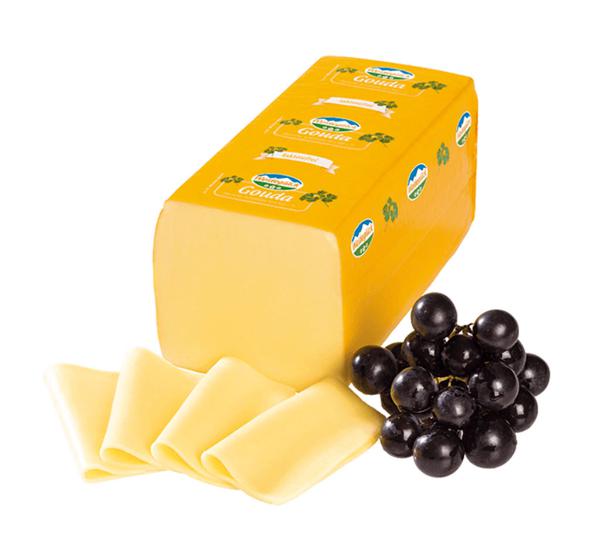 Sir gouda